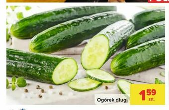 Carrefour Ogórek długi oferta