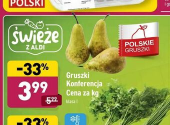 ALDI Gruszki Konferencja oferta