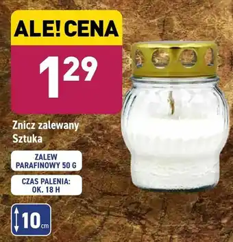 ALDI Znicz zalewany oferta