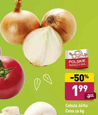 ALDI Cebula żółta oferta
