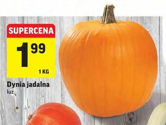 Intermarche Dynia jadalna oferta