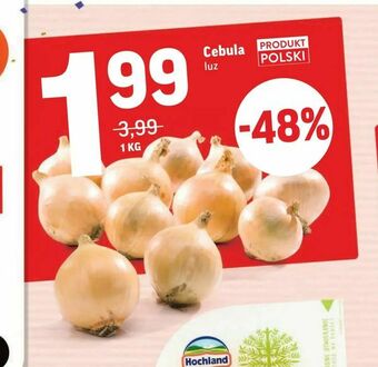 Intermarche Cebula oferta