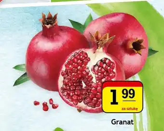 Gram Market Granat 1szt. oferta