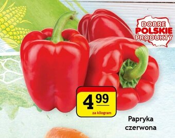 Gram Market Papryka czerwona 1kg oferta