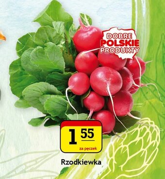 Gram Market Rzodkiewka pęczek oferta