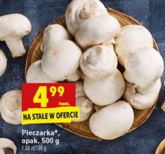 Biedronka Pieczarka 500g oferta