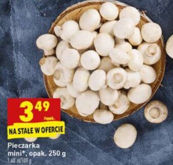 Biedronka Pieczarka mini 250g oferta