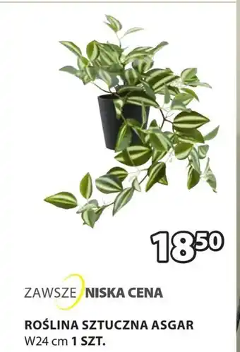 JYSK Sztuczna roślina oferta