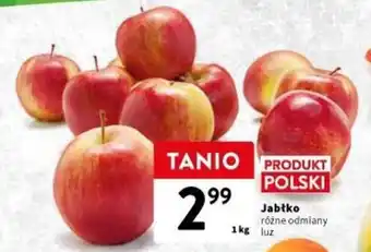 Intermarche Jabłko 1 kg oferta