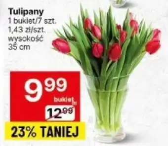 Delikatesy Centrum Tulipany 1 bukiet/7 szt. oferta