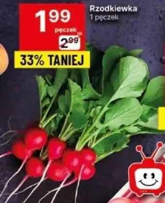 Delikatesy Centrum Rzodkiewka 1 pęczek oferta