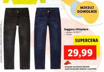 Lidl Joggery chłopięce oferta