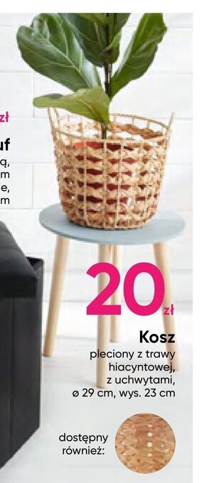 Pepco Kosz oferta