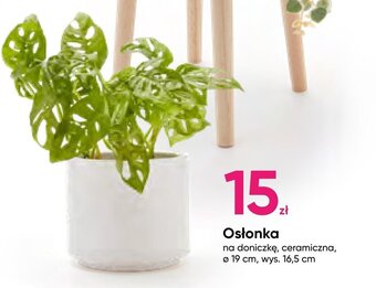 Pepco Osłonka oferta