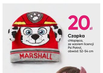 Czapka