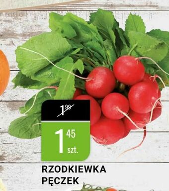 bi1 Rzodkiewka pęczek oferta