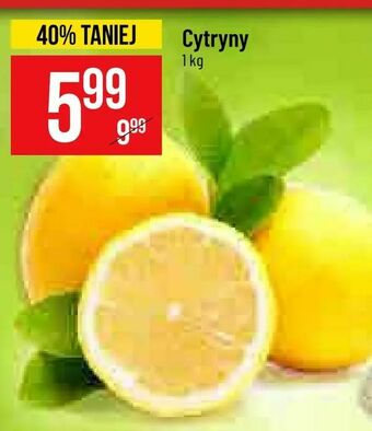 Polomarket Cytryny oferta