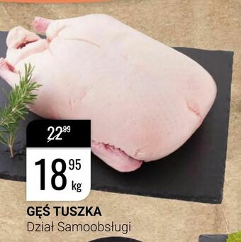 Gęś tuszka