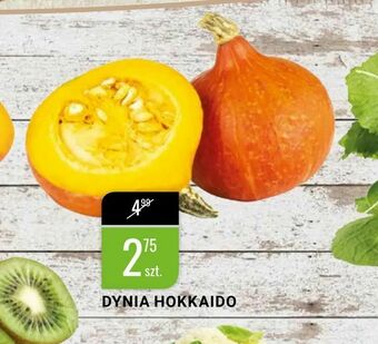 bi1 Dynia hokkaido oferta