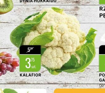 bi1 Kalafior oferta