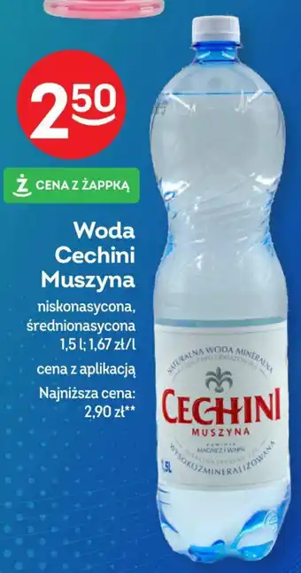 Żabka Woda Cechini Muszyna 1,5 l oferta