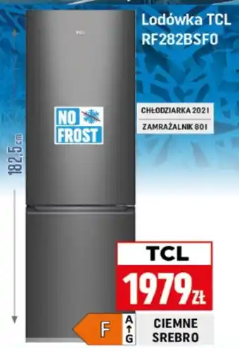 Neopunkt Lodówka TCL oferta