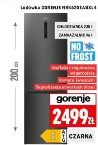 Neopunkt Lodówka Gorenje oferta