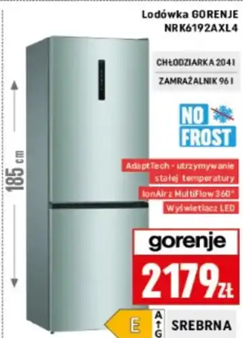 Neopunkt Lodówka Gorenje oferta