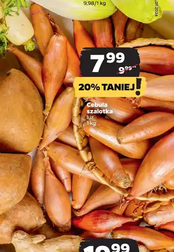 Netto Cebula szalotka oferta