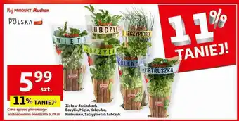 Auchan Szczypiorek 1 SZT oferta