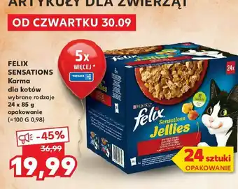 Kaufland Karma dla kota wiejskie smaki 1 OPAK 24 SZT 85 G oferta