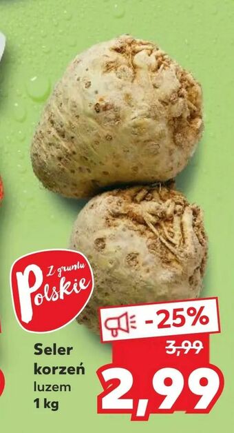 Kaufland Seler korzeń oferta