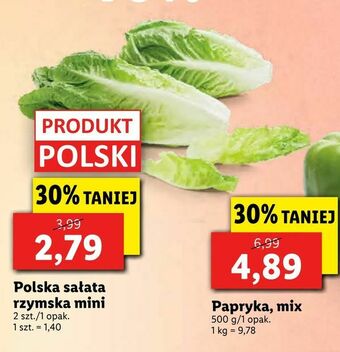 Lidl Polska sałata rzymska mini oferta