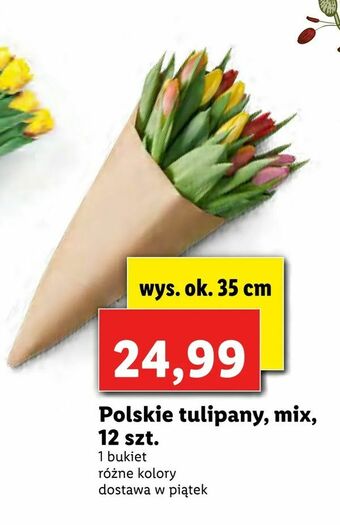 Lidl Polskie tulipany, mix, 12 szt oferta
