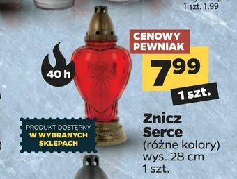 Netto Znicz Serce oferta