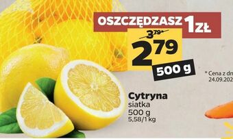 Netto Cytryna oferta