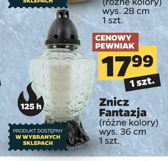 Netto Znicz Fantazja oferta