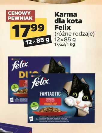 Netto Karma dla kota Felix oferta