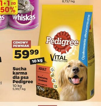 Netto Sucha karma dla psa Pedigree oferta
