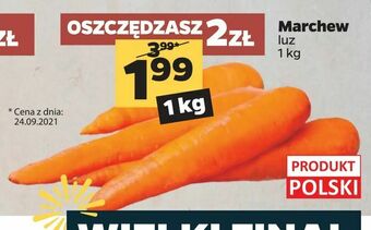 Netto Marchew oferta