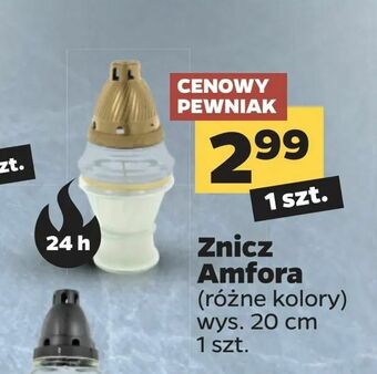Netto Znicz Amfora oferta