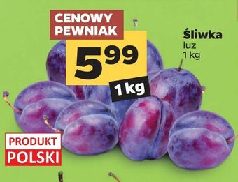 Netto Śliwka oferta