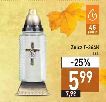 Stokrotka Znicz T-364K oferta