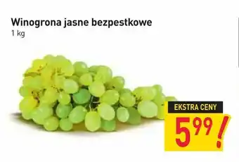 Stokrotka Winogrona jasne bezpestkowe oferta
