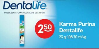 Żabka Karma Purina Dentalife oferta