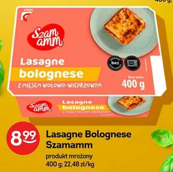 Żabka Lasagne Bolognese Szamamm oferta