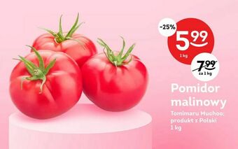 Żabka Pomidor malinowy oferta