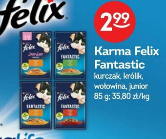 Żabka Karma Felix Fantastic oferta