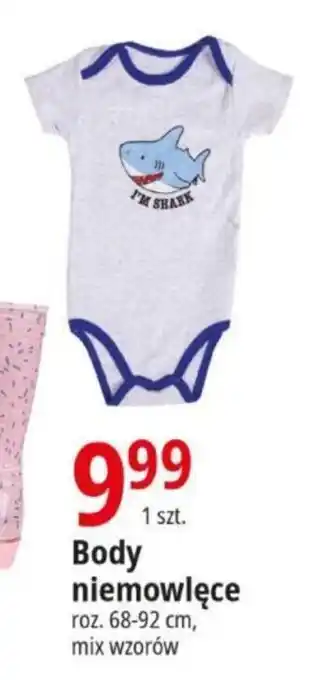 E.Leclerc Body niemowlęce oferta