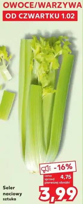 Kaufland Seler naciowy sztuka oferta